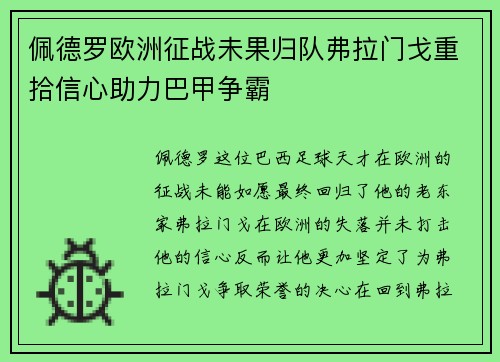 佩德罗欧洲征战未果归队弗拉门戈重拾信心助力巴甲争霸